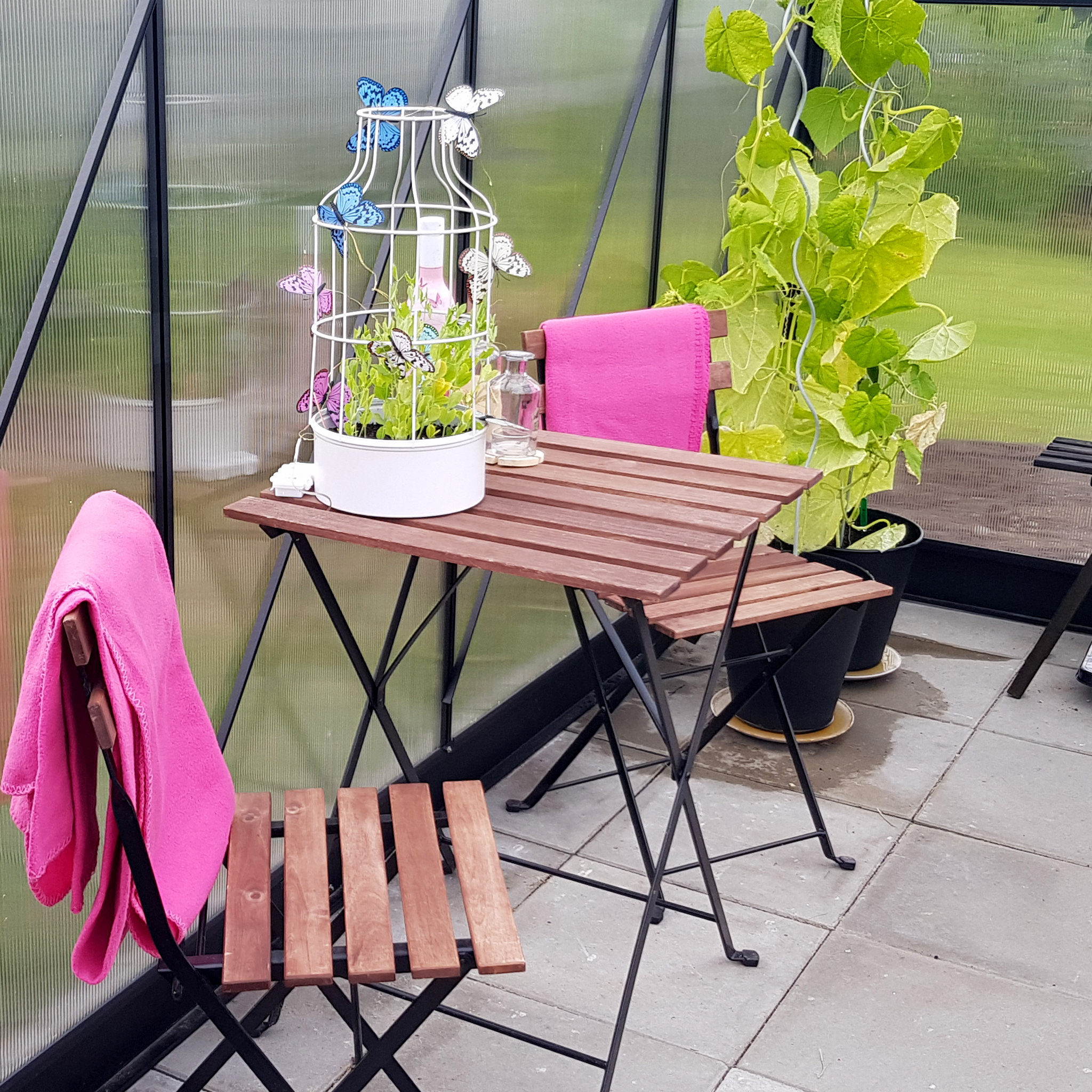 Växthus 8,9m² | Hög odlingshöjd | 6 mm kanalplast Växthus 8,9m² | Hög odlingshöjd | 6 mm kanalplast