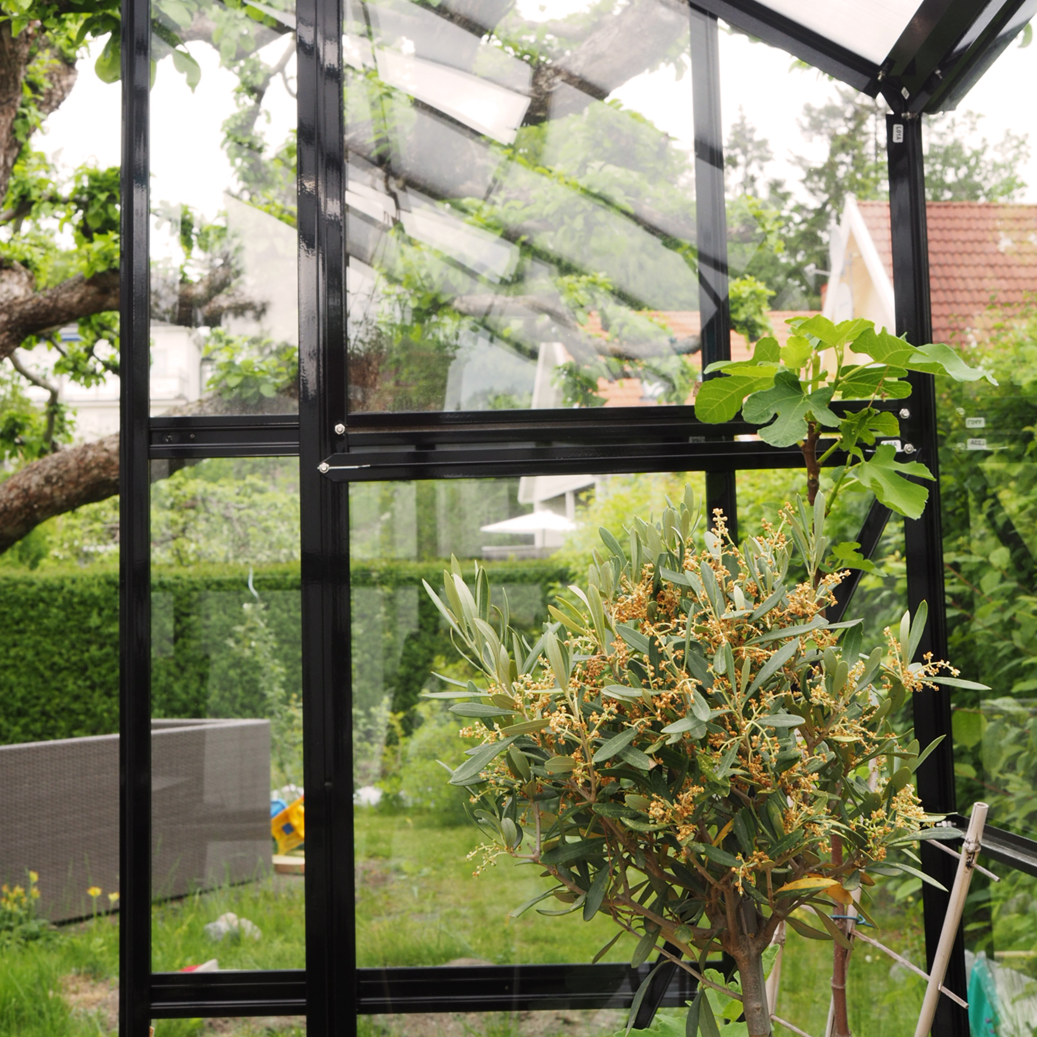 Växthus 8,0m² | 4mm säkerhetsglas | 5 års stormgaranti Växthus 8,0m² | 4mm säkerhetsglas | 5 års stormgaranti