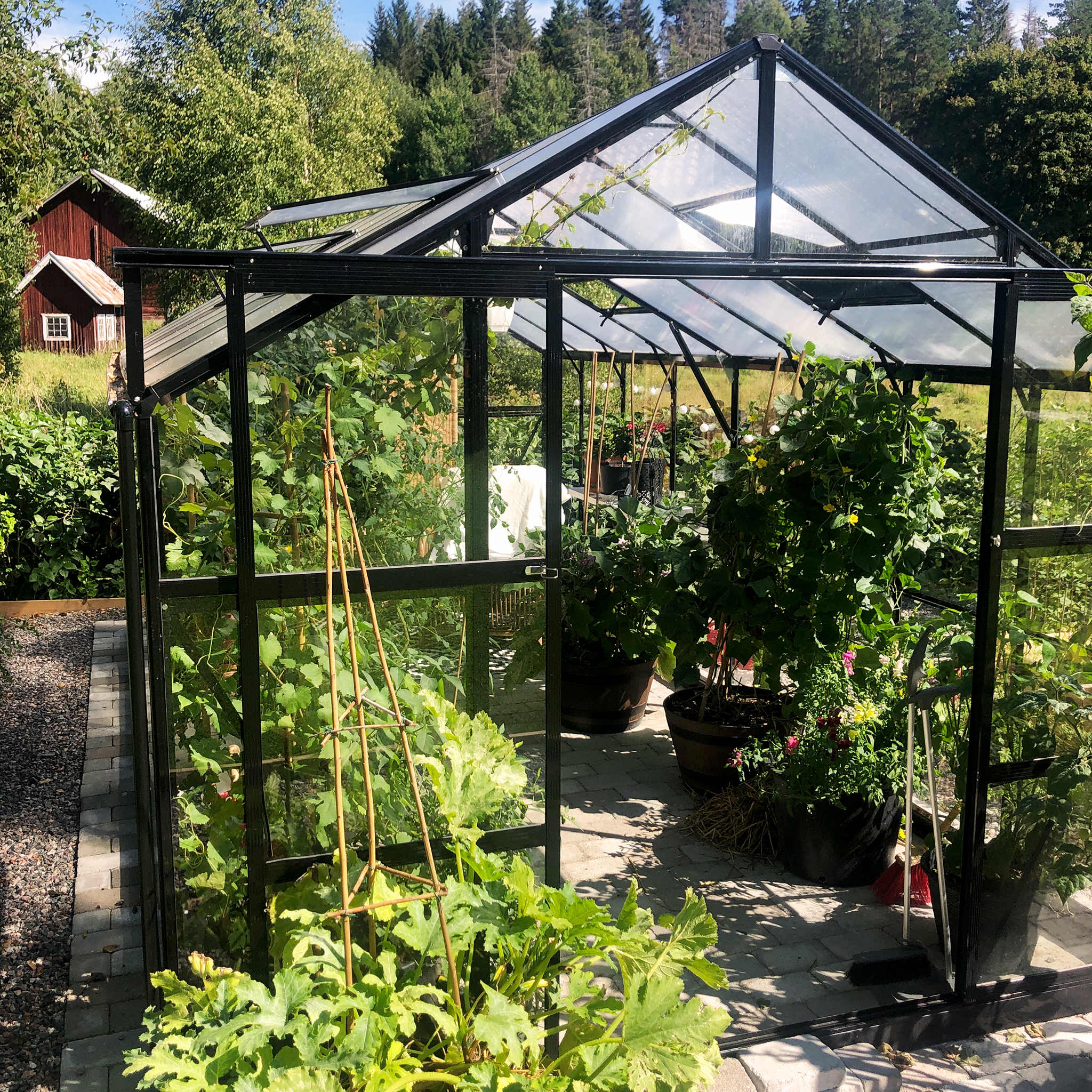 Växthus 12,7m² | 5 års stormgaranti | 4mm säkerhetsglas Växthus 12,7m² | 5 års stormgaranti | 4mm säkerhetsglas