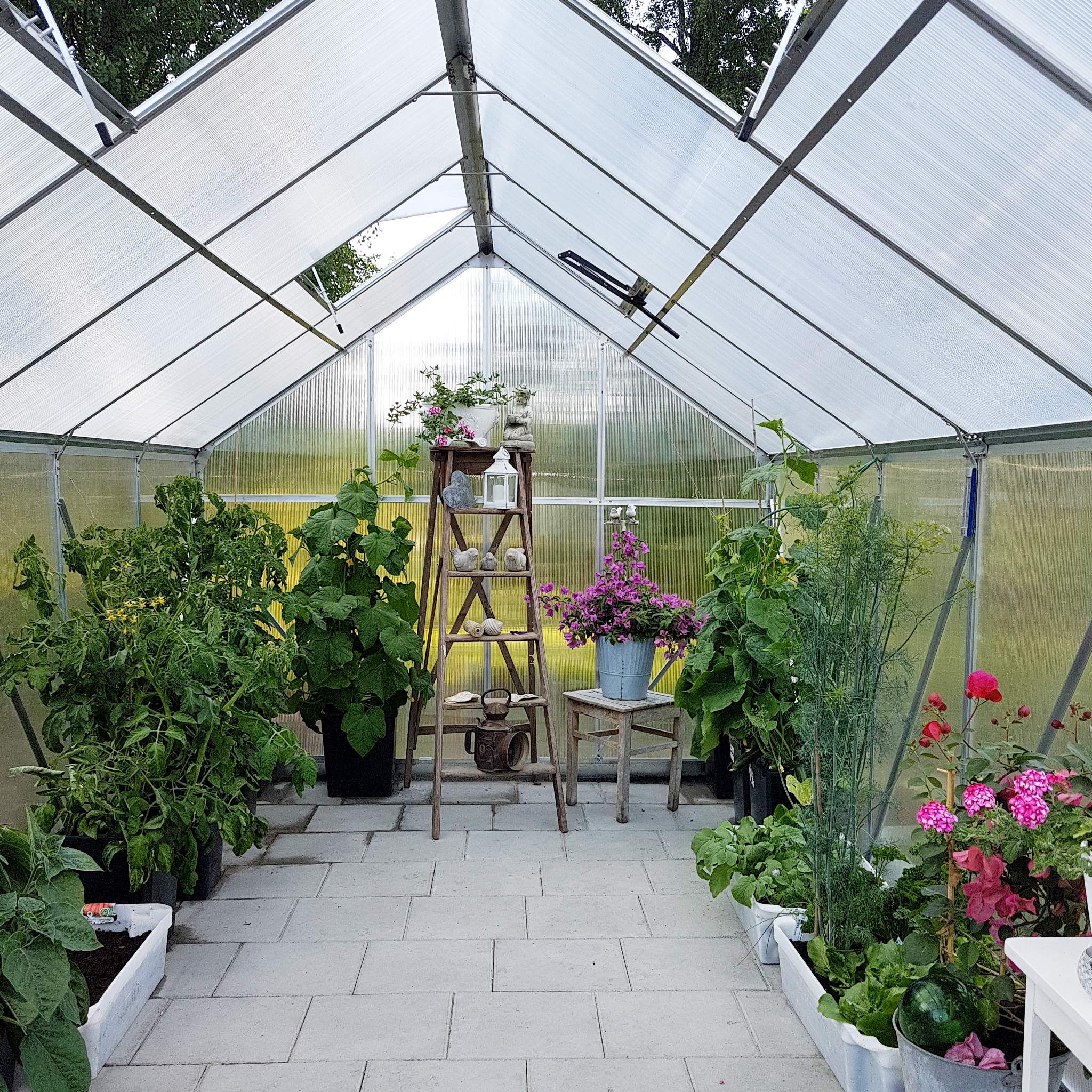 Växthus 10,7m² | Hög odlingshöjd | 6mm kanalplast Växthus 10,7m² | Hög odlingshöjd | 6mm kanalplast