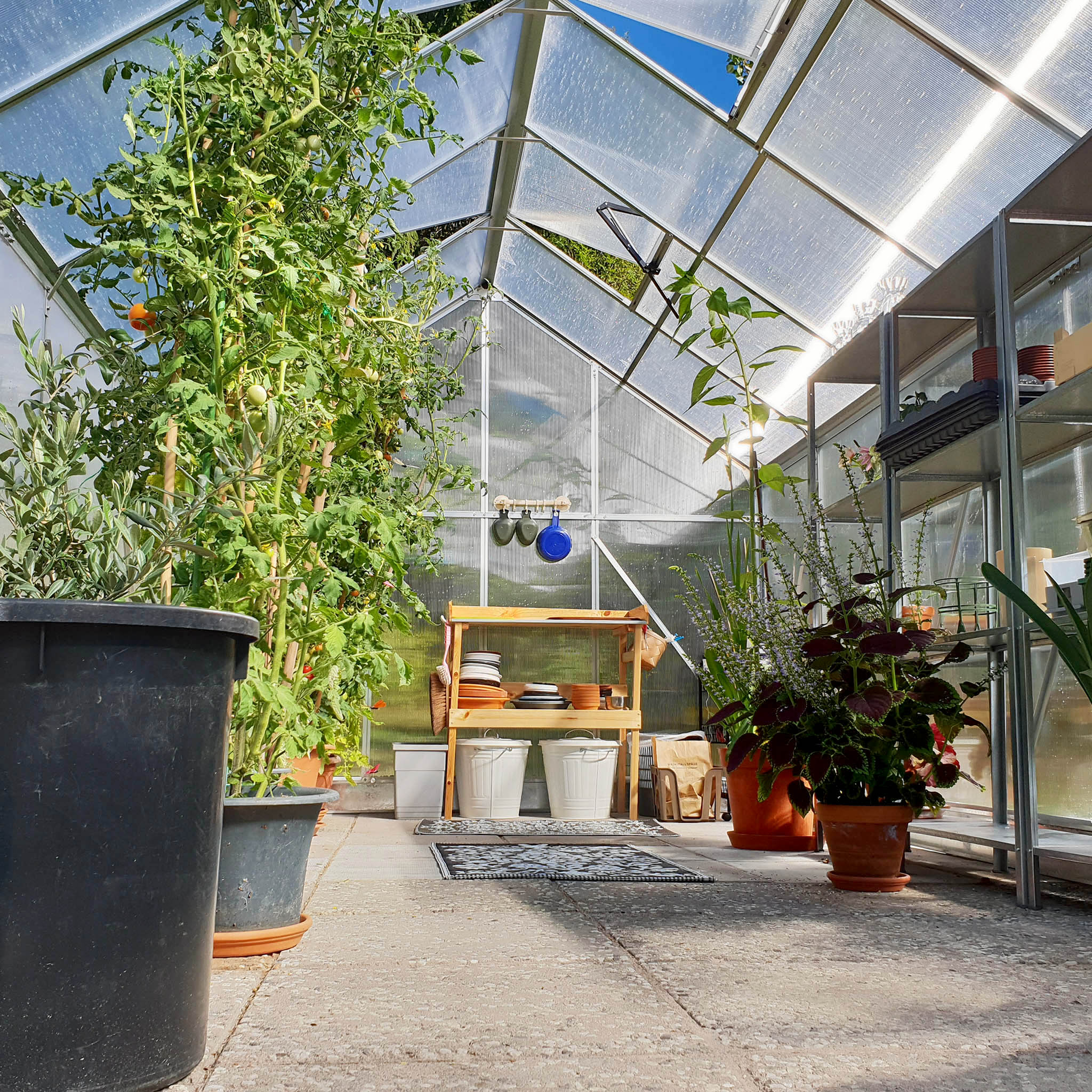 Växthus 12,4m² | Hög odlingshöjd | 6mm kanalplast Växthus 12,4m² | Hög odlingshöjd | 6mm kanalplast