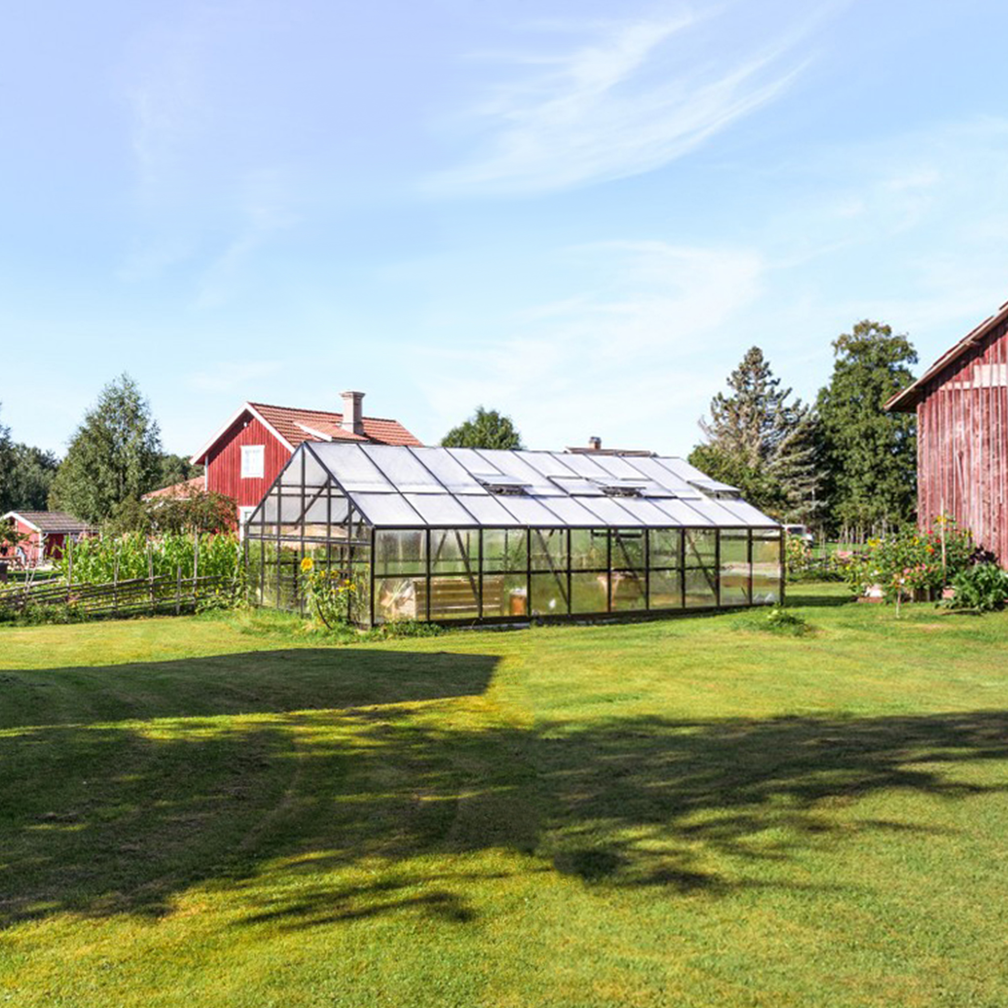 Extra brett premium glasväxthus 51m² | Stormgaranti och säkerhetsglas Extra brett premium glasväxthus 51m² | Stormgaranti och säkerhetsglas