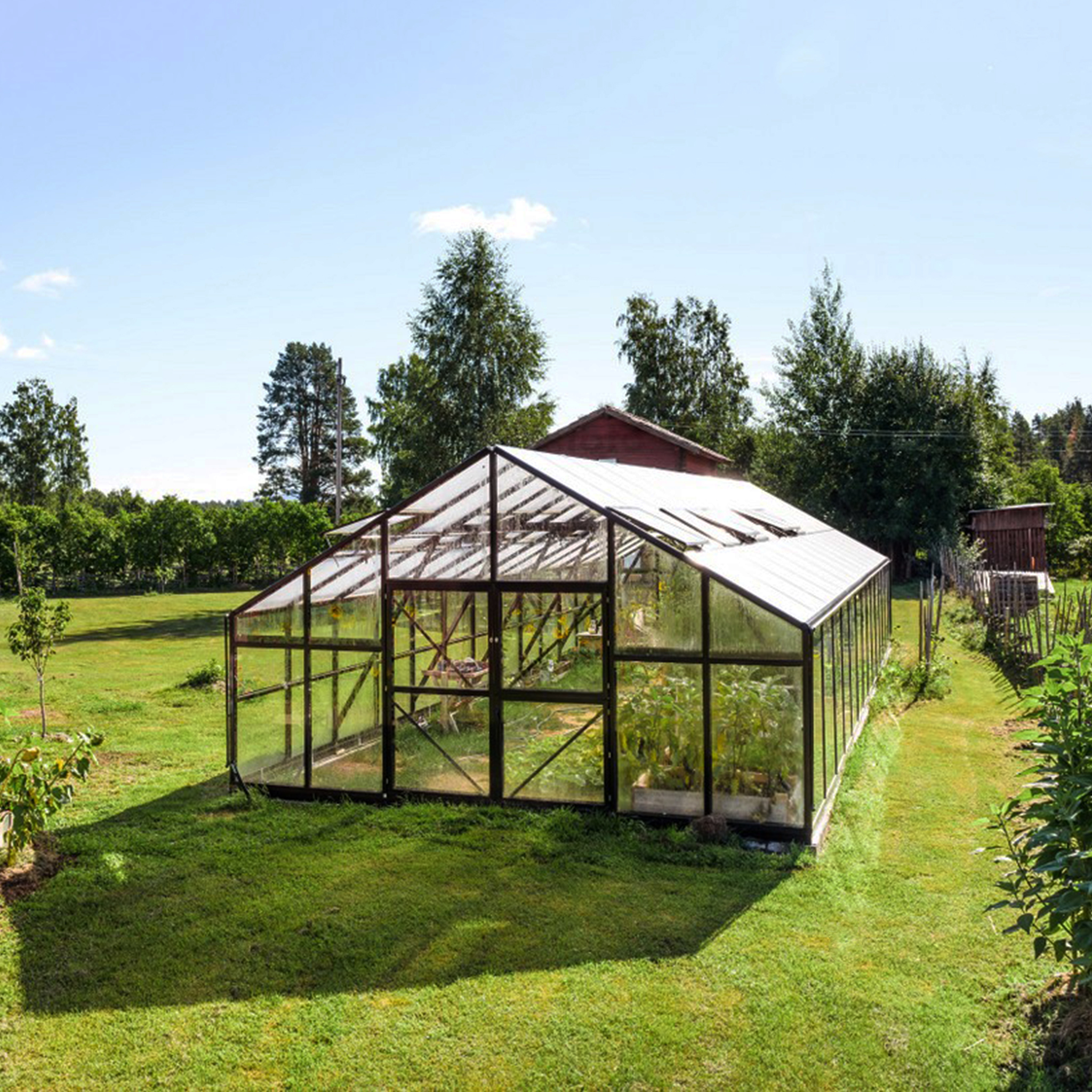 Extra brett premium glasväxthus 51m² | Stormgaranti och säkerhetsglas Extra brett premium glasväxthus 51m² | Stormgaranti och säkerhetsglas