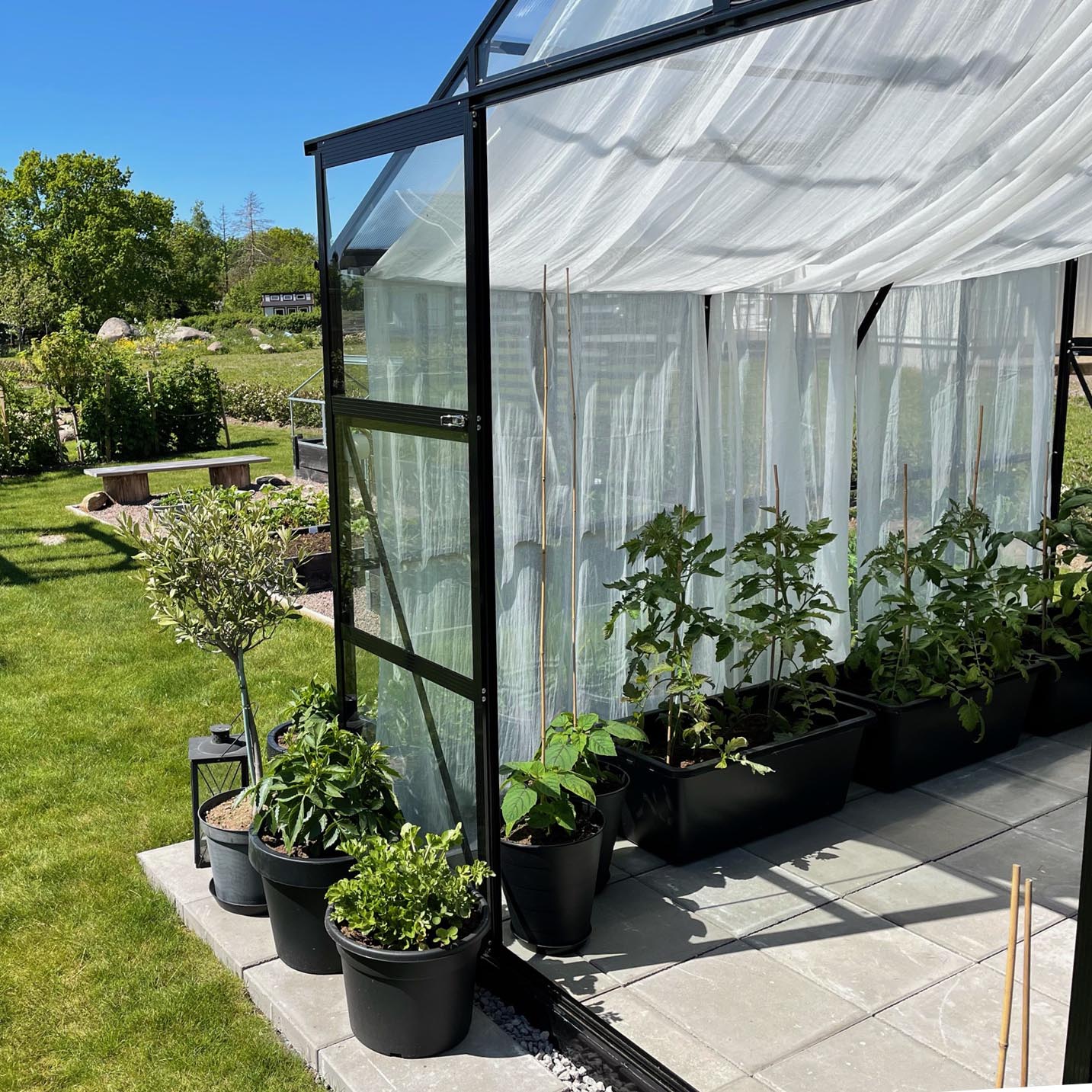 Växthus 8,0m² | 4mm säkerhetsglas | 5 års stormgaranti Växthus 8,0m² | 4mm säkerhetsglas | 5 års stormgaranti