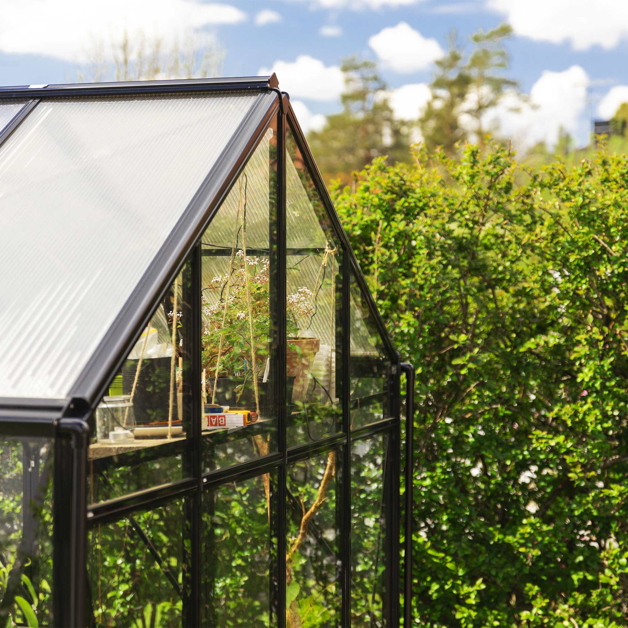 T-format glasv�xthus 11,2m� | 4mm s�kerhetsglas | 5 �rs stormgaranti