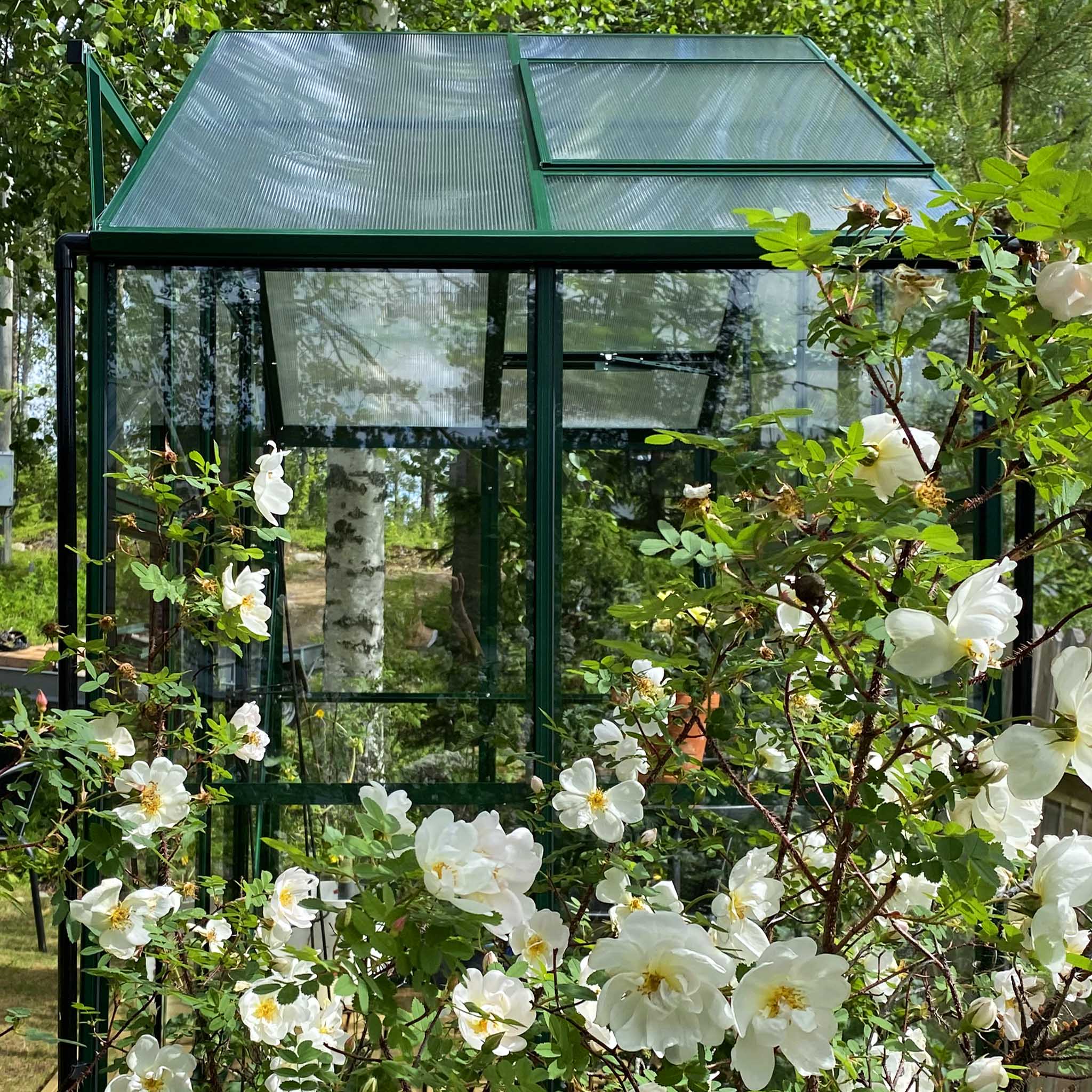 V�xthus 3,3m� | 4mm s�kerhetsglas | 5 �rs stormgaranti