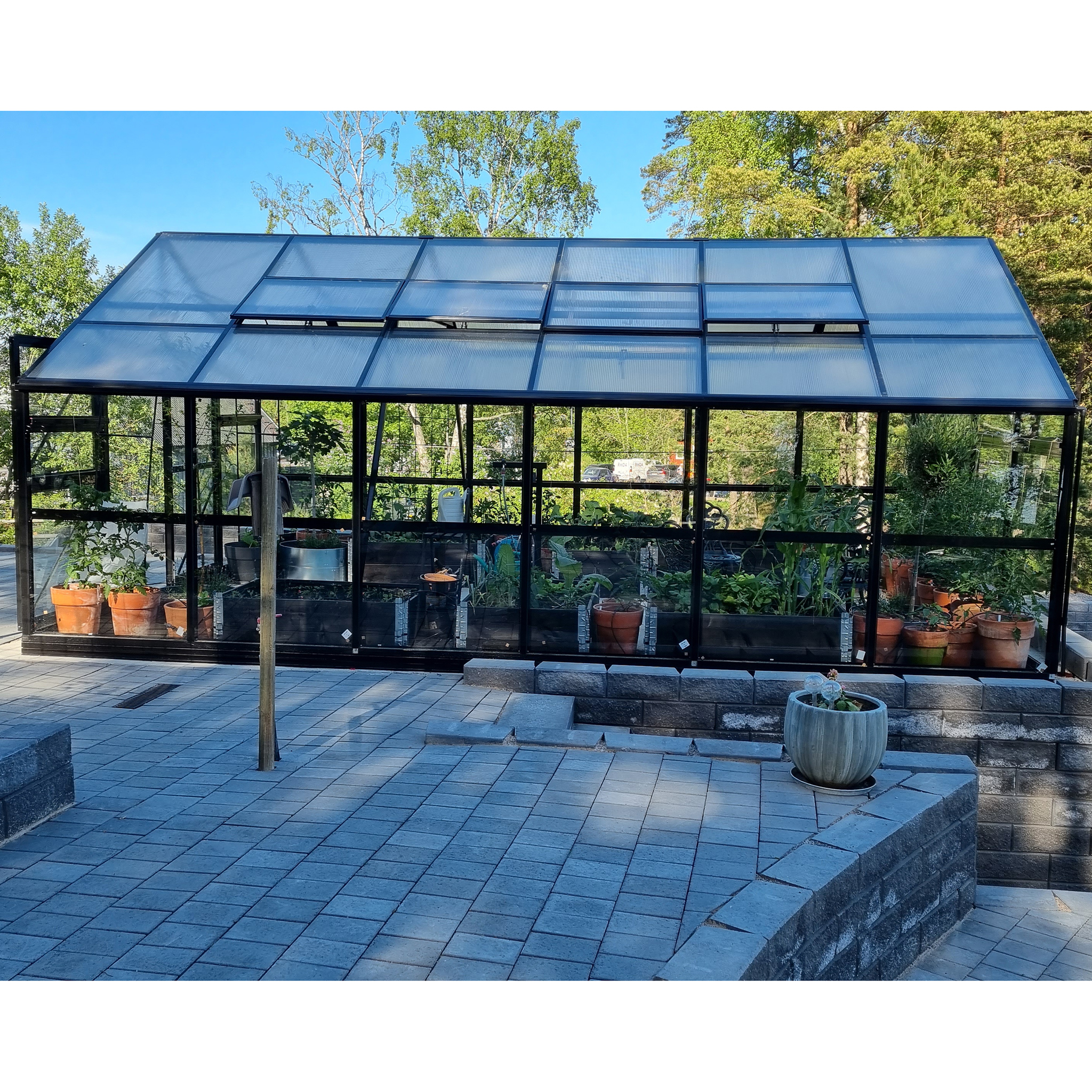 Premium glasväxthus 24,6m² | 5 års stormgaranti | 4mm säkerhetsglas Premium glasväxthus 24,6m² | 5 års stormgaranti | 4mm säkerhetsglas