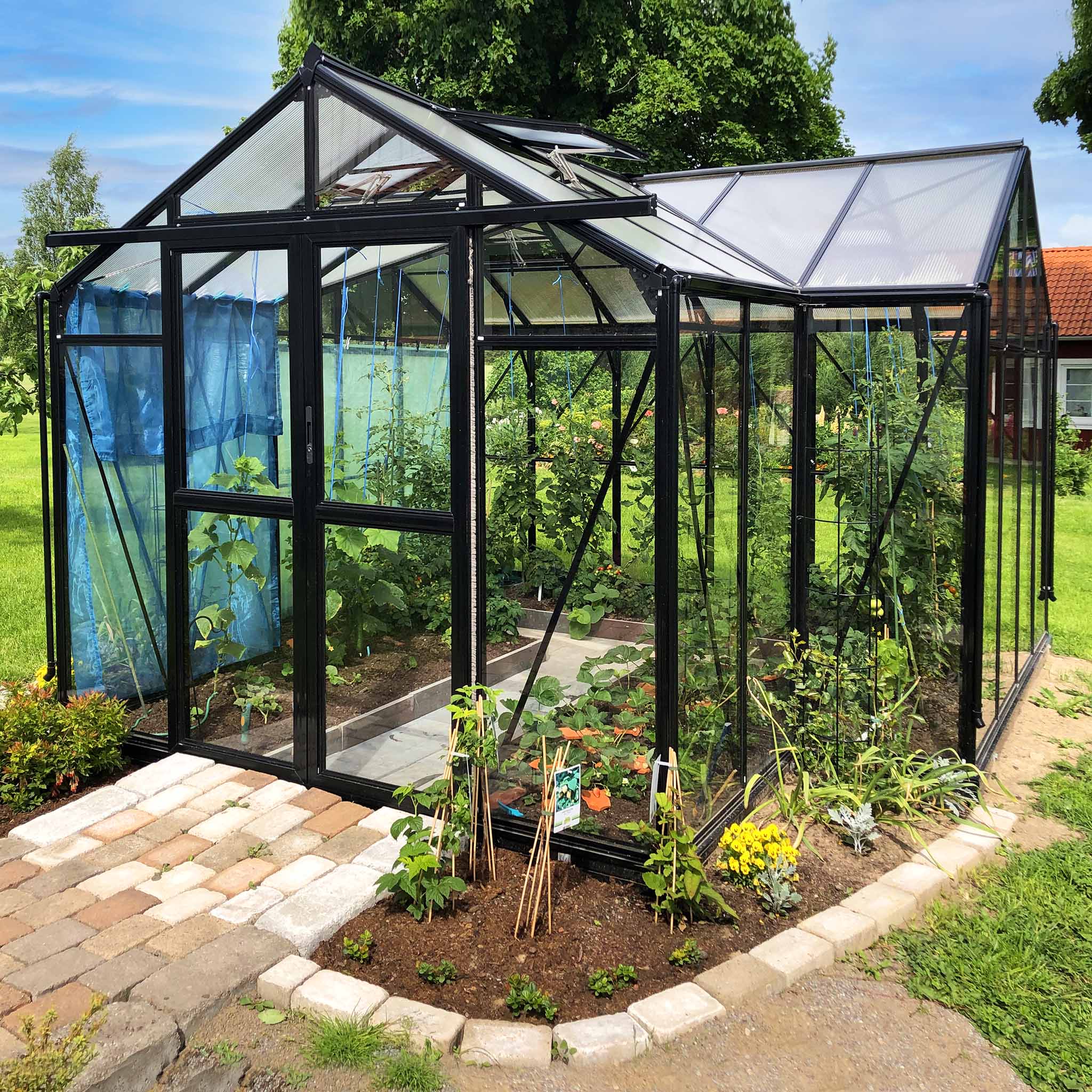 T-format glasväxthus 12,8m² | 4mm säkerhetsglas | 5 års stormgaranti T-format glasväxthus 12,8m² | 4mm säkerhetsglas | 5 års stormgaranti