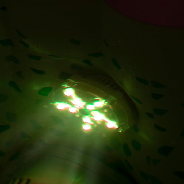 7-Color LED-light 7-Color LED-light