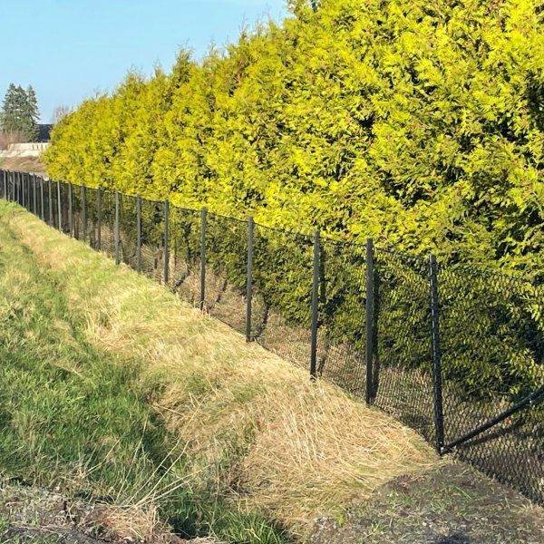 Villastängsel 100cm högt | 100 meter | Komplett paket Villastängsel 100cm högt | 100 meter | Komplett paket