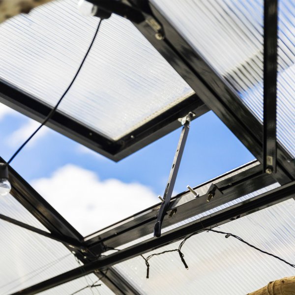 T-format glasväxthus 11,2m² | 4mm säkerhetsglas | 5 års stormgaranti T-format glasväxthus 11,2m² | 4mm säkerhetsglas | 5 års stormgaranti