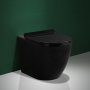 Vgghngd toalett inkl. Dold cistern | Svart | Toalettpaket