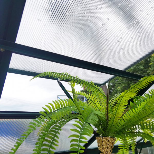 V�xthus 3,3m� | 4mm s�kerhetsglas | 5 �rs stormgaranti