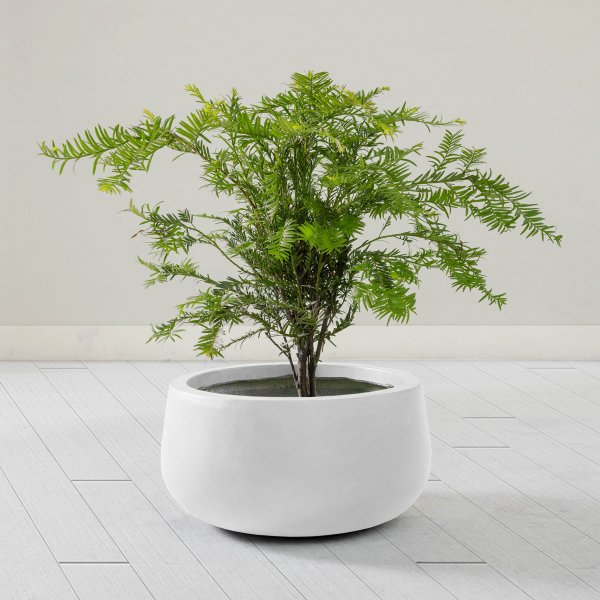 Fiberarmerade utekrukor | 3-pack | Vit