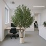 Stort konstgjort olivtrd | 250 cm