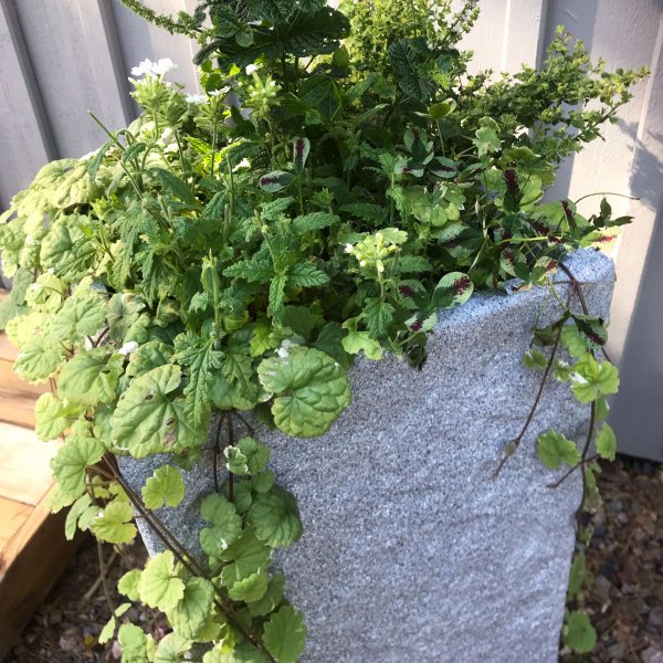 Hg fiberarmerad kruka fr utomhusbruk - Stengr