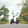 Fatscooter City Chopper 3000W | LG litiumbatteri | Borstl�s motor