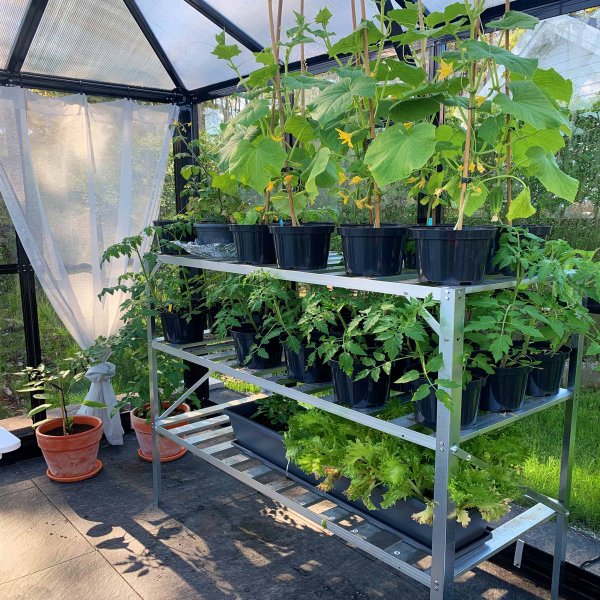 Växthus 8,7 m² | 5 års stormgaranti | Kvadratiskt premiumväxthus | Gazebo Växthus 8,7 m² | 5 års stormgaranti | Kvadratiskt premiumväxthus | Gazebo