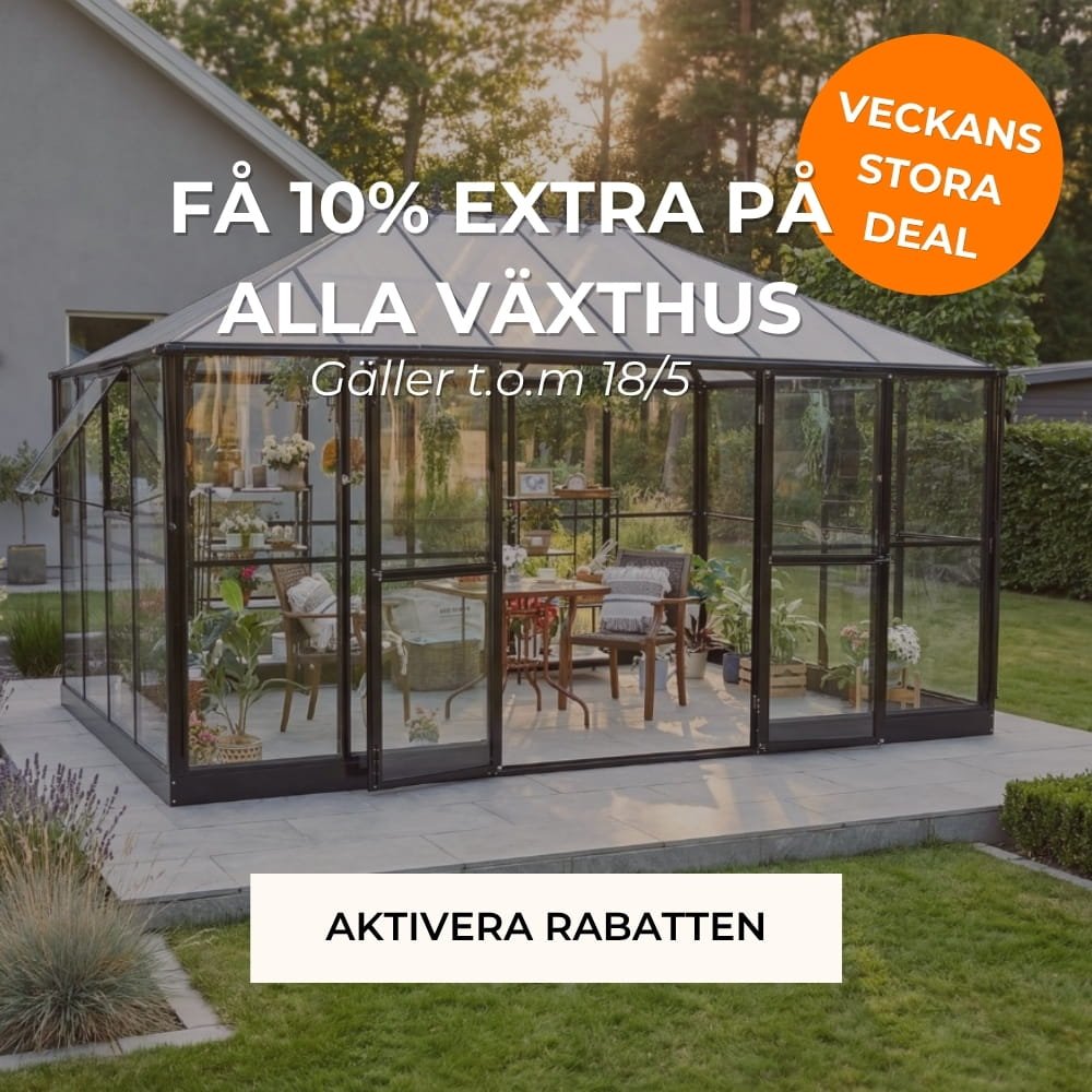 V�xthus10