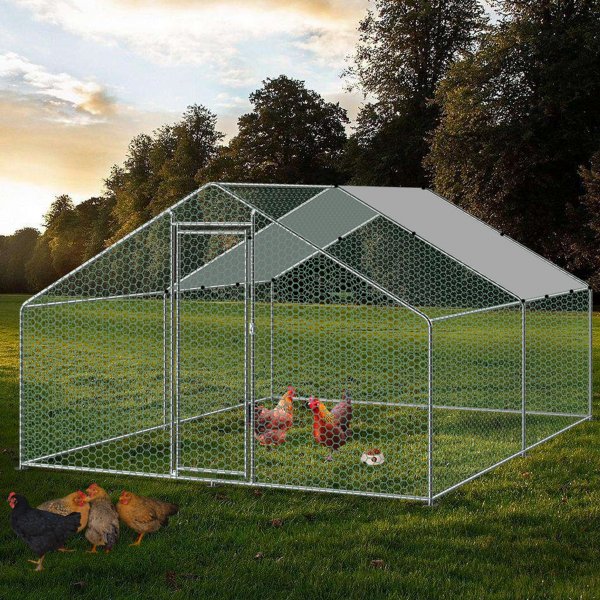 Hönsgård i galvaniserat stål | Lättstädat | Hög ståhöjd Hönsgård i galvaniserat stål | Lättstädat | Hög ståhöjd