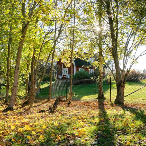 Villastängsel 150cm högt | 25 meter | Komplett paket Villastängsel 150cm högt | 25 meter | Komplett paket