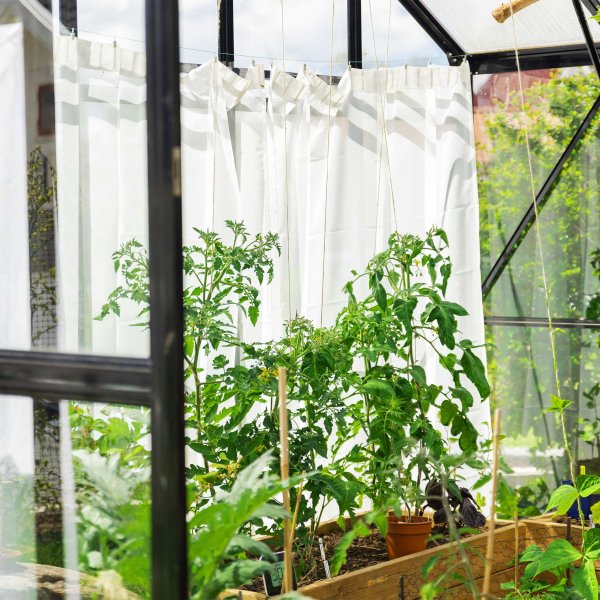 T-format glasväxthus 11,2m² | 4mm säkerhetsglas | 5 års stormgaranti T-format glasväxthus 11,2m² | 4mm säkerhetsglas | 5 års stormgaranti