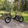 Trehjulig elcykel | Fatbike-d�ck | 6 v�xlar Shimano | 250W � 13Ah | Svart
