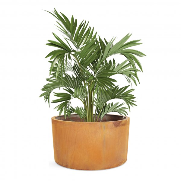 Rund planteringskruka | 3mm cortenstål Rund planteringskruka | 3mm cortenstål