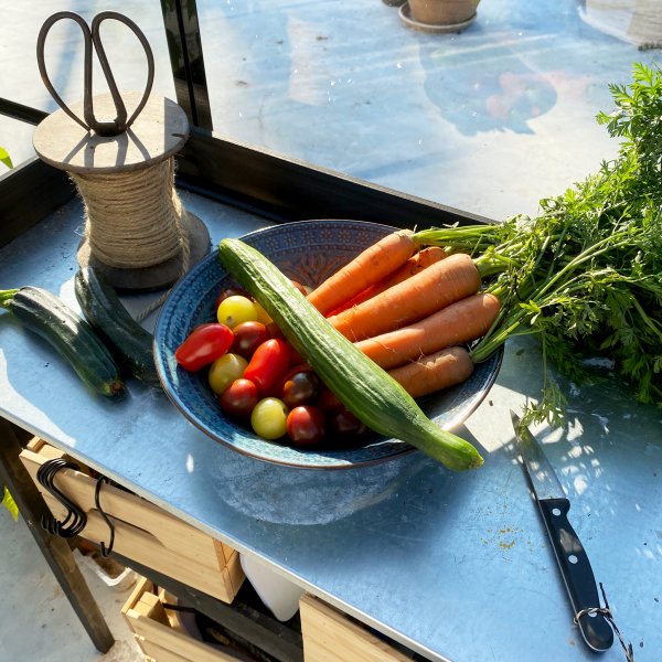 Glasväxthus 19m² | 5 års stormgaranti | 4mm säkerhetsglas Glasväxthus 19m² | 5 års stormgaranti | 4mm säkerhetsglas