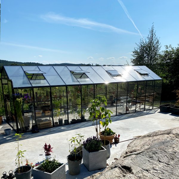 Glasväxthus 19m² | 5 års stormgaranti | 4mm säkerhetsglas Glasväxthus 19m² | 5 års stormgaranti | 4mm säkerhetsglas