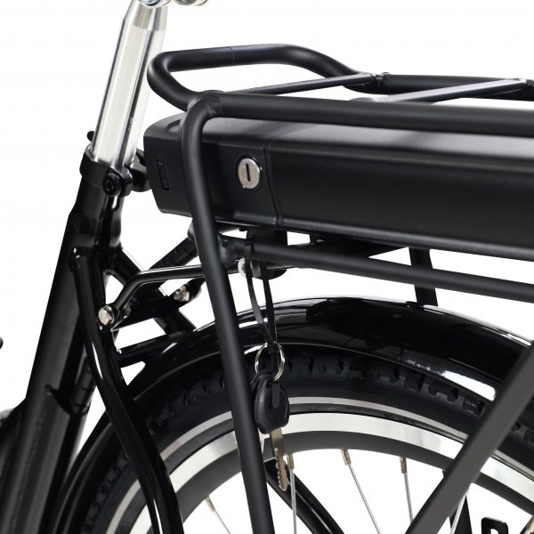 Eldriven cargobike | 250W - 16Ah | 6 växlar | LG-batteri - Pro Eldriven cargobike | 250W - 16Ah | 6 växlar | LG-batteri - Pro